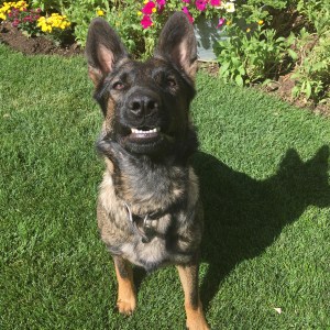 Zoja, Nine Realms Narcotic Detection