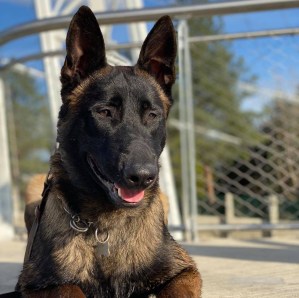 184485169_1468701520136964_6804016208319972443_n