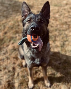 Annushka Nine Realms