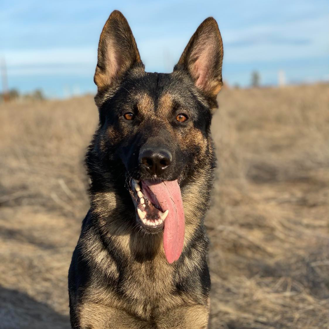 Nine Realms Kovacs Head Shot