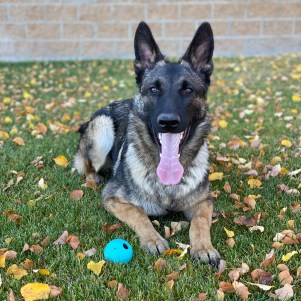 nine-realms-nemex-9-months