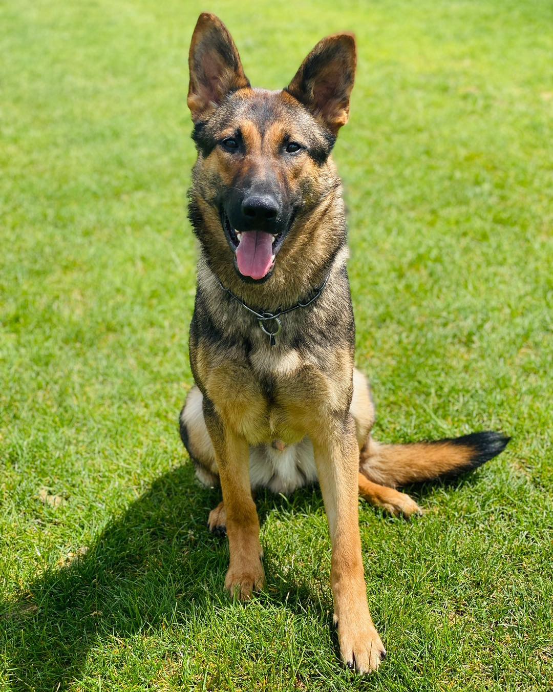 Nine Realms Kibo 10 months