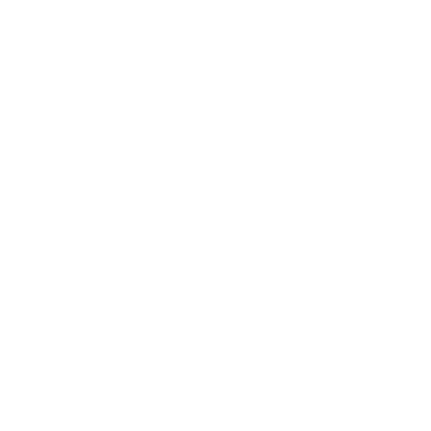 NINE REALMS CANINE TRAINING